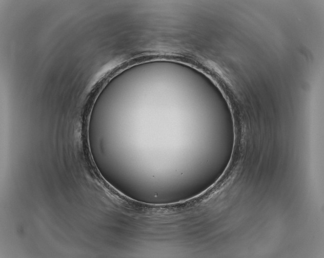 X0000112461307200908311321