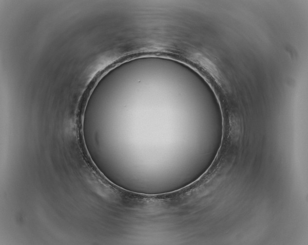 X0000112461308200908311321