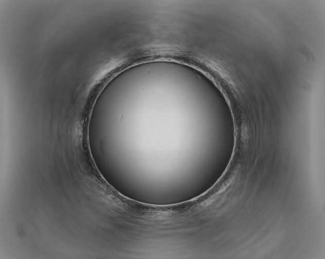 X0000112461309200908311321