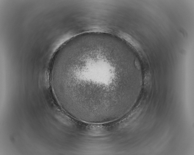 X0000112461310200908311321