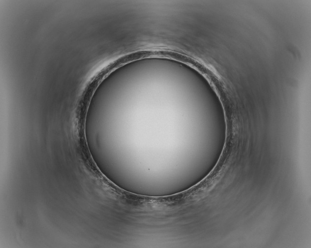 X0000112461311200908311321