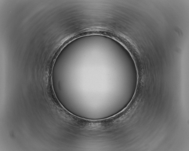 X0000112461313200908311321