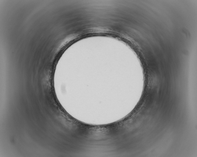 X0000112461314200908311321