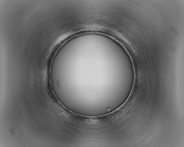 X0000112461315200908311321