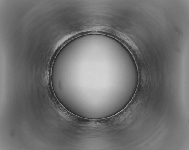 X0000112461316200908311321