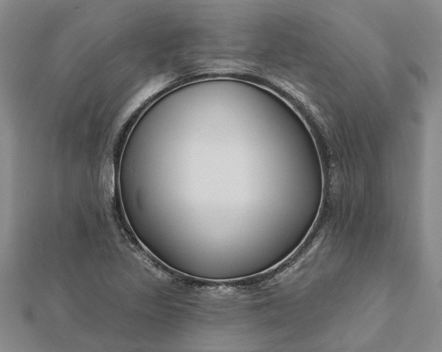 X0000112461317200908311321