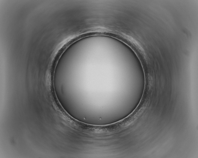 X0000112461318200908311321