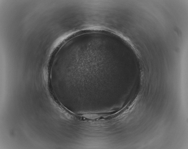 X0000112461319200908311321