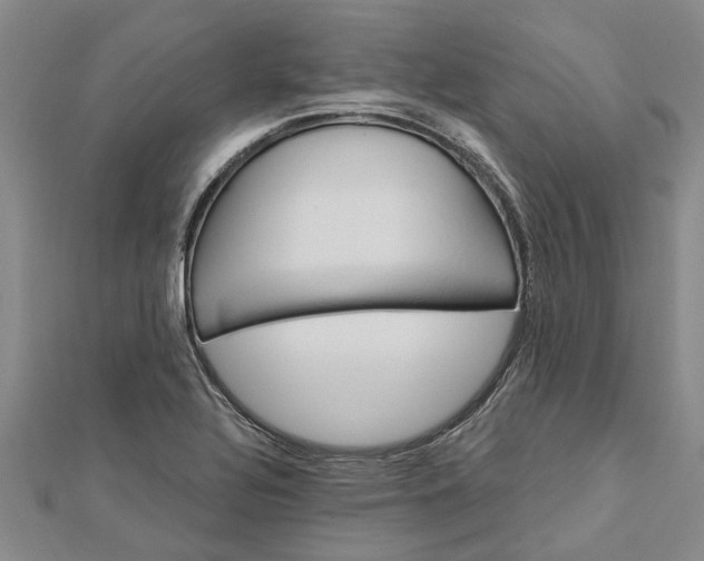 X0000112461320200908311321