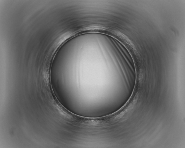 X0000112461321200908311321