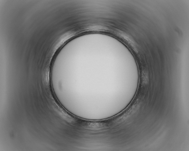 X0000112461322200908311321