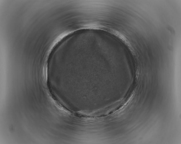 X0000112461323200908311321