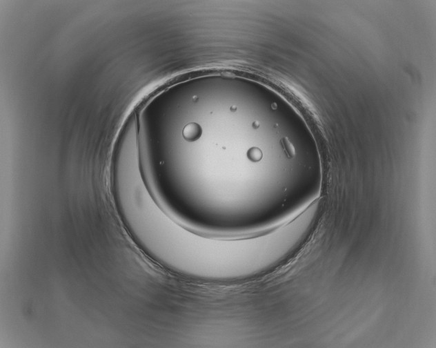 X0000112461324200908311321