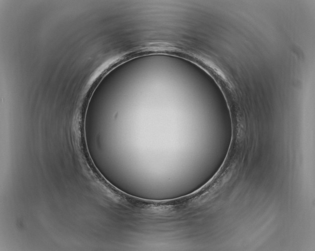 X0000112461325200908311321