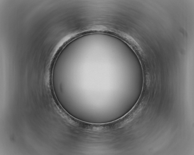 X0000112461326200908311321