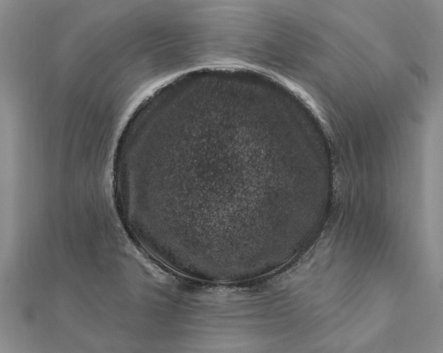 X0000112461327200908311321