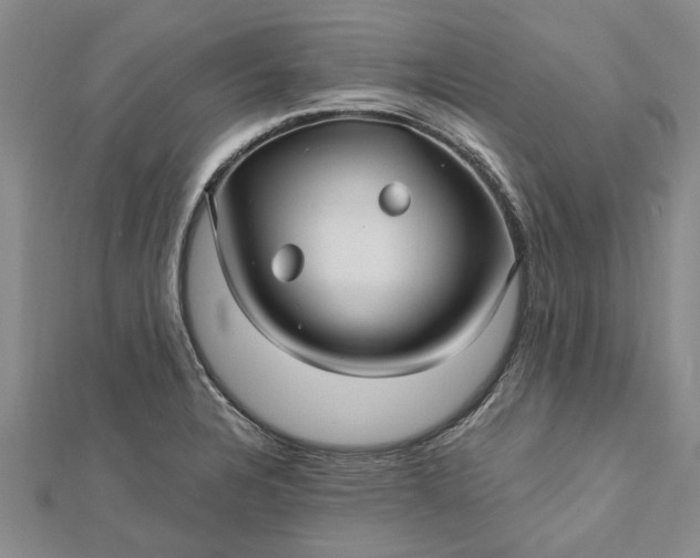 X0000112461328200908311321