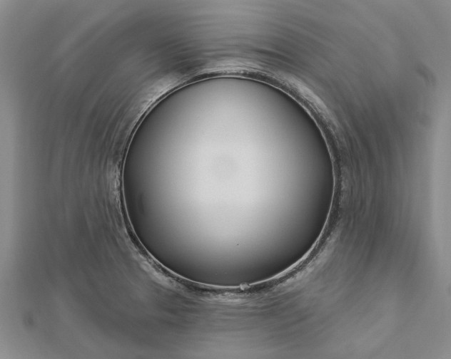 X0000112461329200908311321