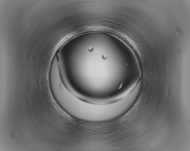 X0000112461330200908311321