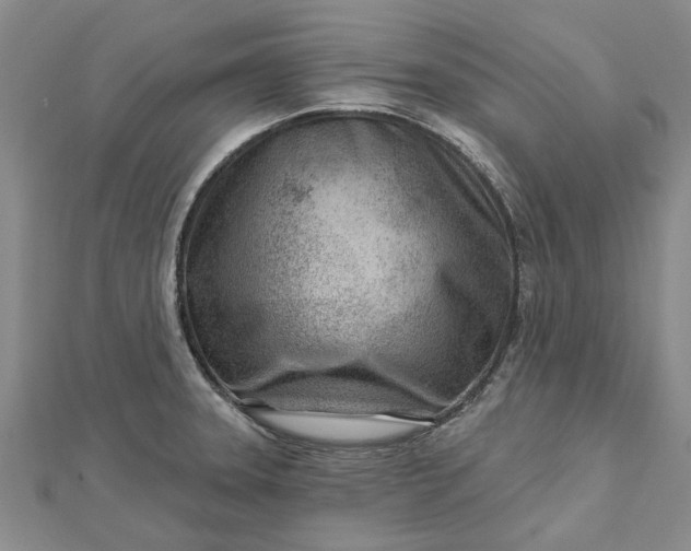 X0000112461331200908311321