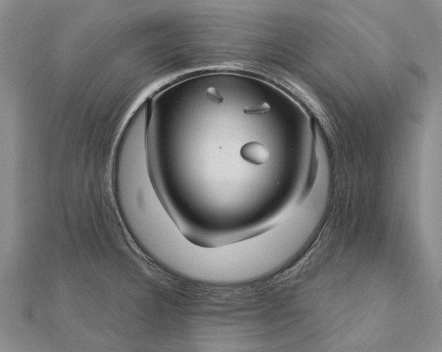 X0000112461332200908311321