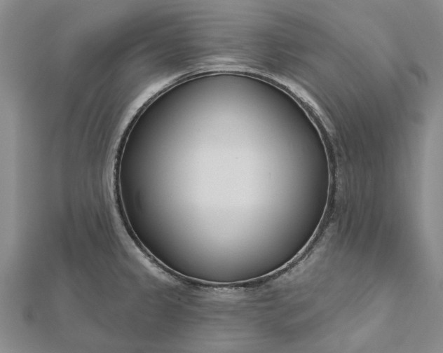 X0000112461333200908311321