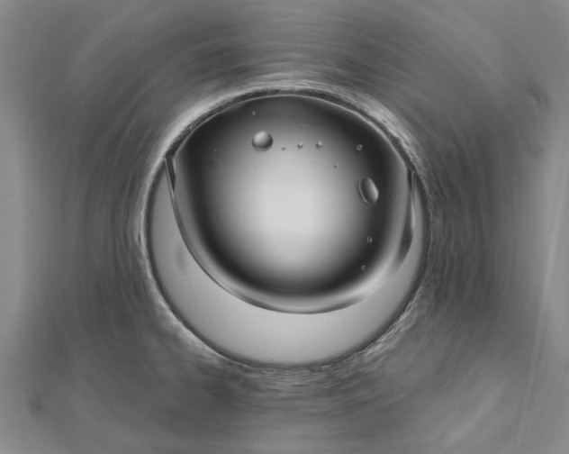 X0000112461334200908311321