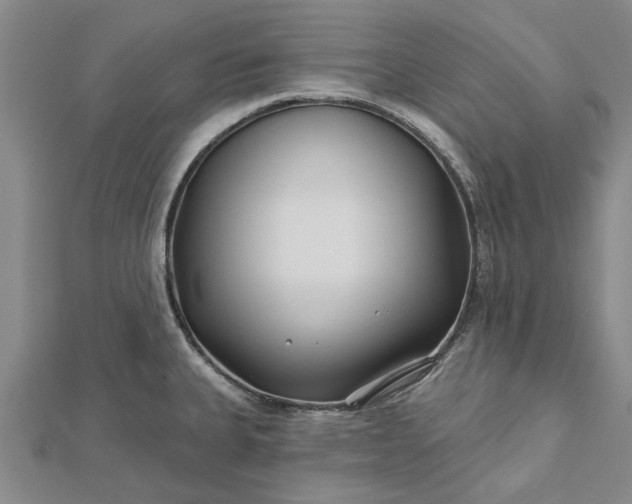 X0000112461335200908311322