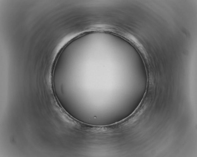 X0000112461336200908311322