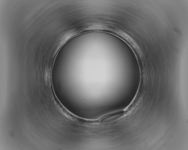 X0000112461337200908311322