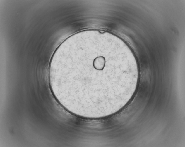 X0000112461338200908311322