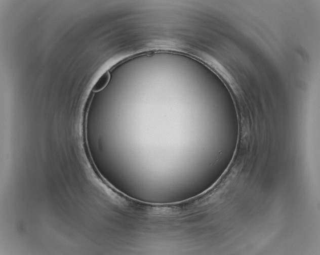 X0000112461339200908311322