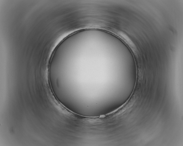 X0000112461340200908311322