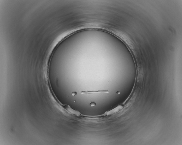 X0000112461342200908311322