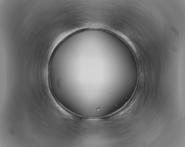 X0000112461343200908311322