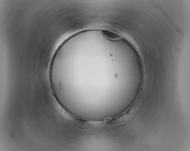 X0000112461344200908311322