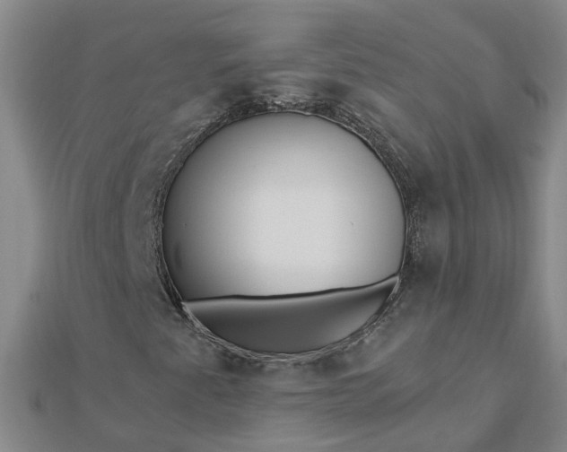 X0000112461345200908311321