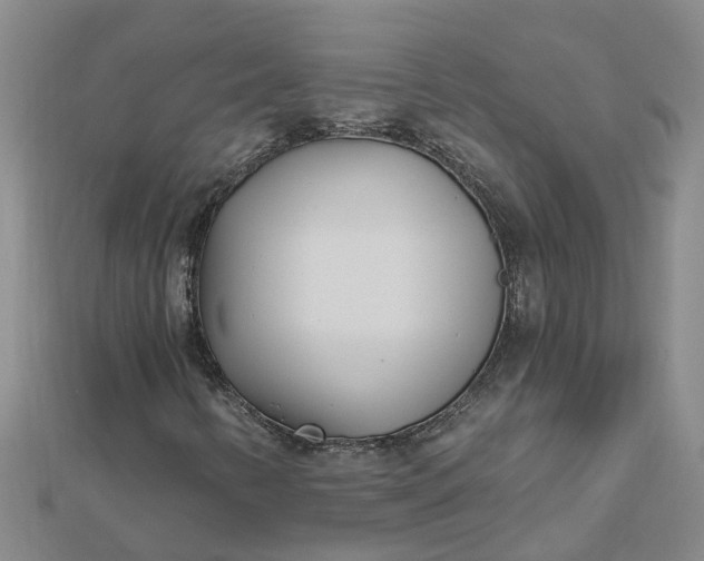 X0000112461346200908311321