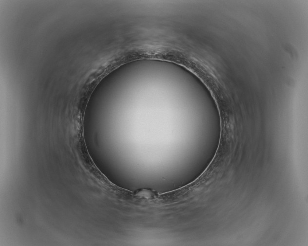 X0000112461349200908311321