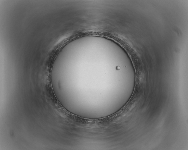 X0000112461350200908311321