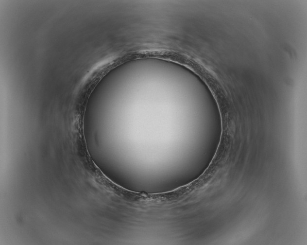 X0000112461351200908311321