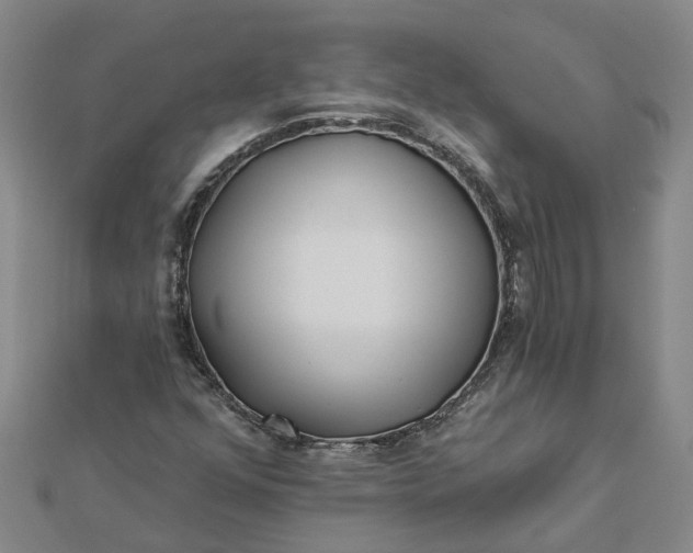 X0000112461352200908311321