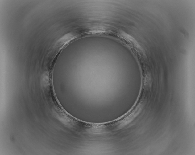 X0000112461353200908311321