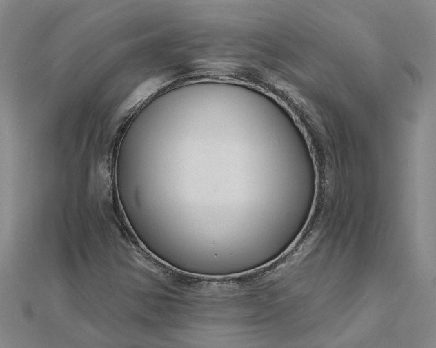 X0000112461354200908311321