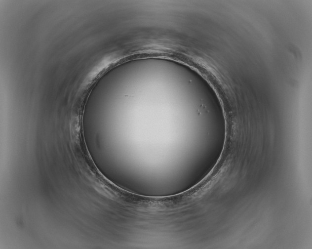 X0000112461355200908311321