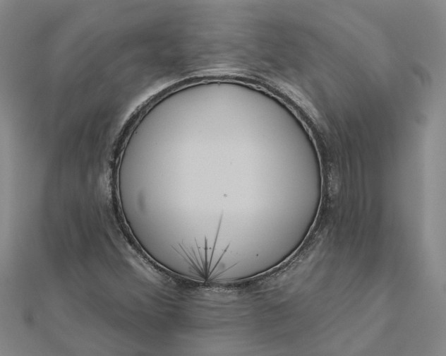 X0000112461356200908311321