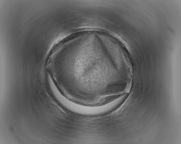 X0000112461357200908311321