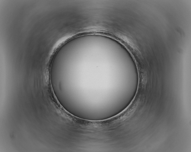 X0000112461358200908311321