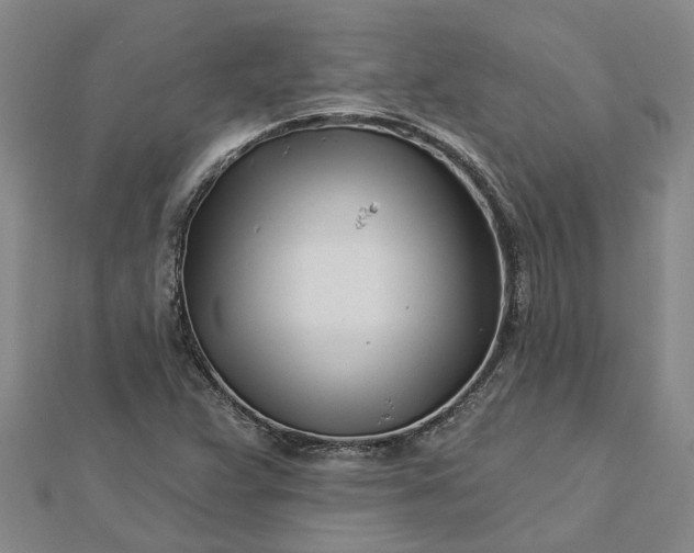 X0000112461359200908311321