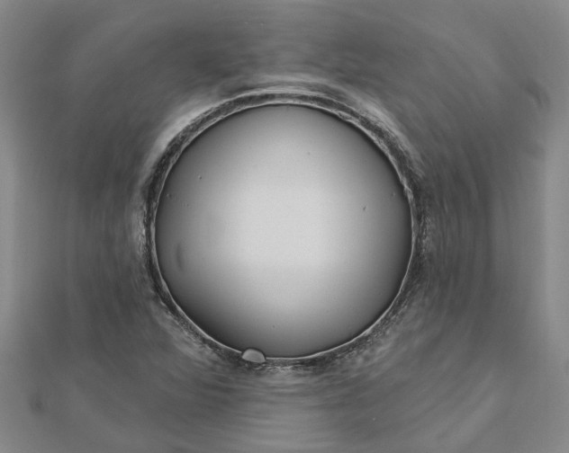 X0000112461360200908311321